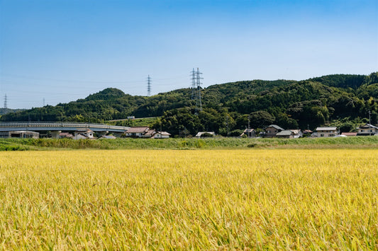 山に囲まれた神西の田んぼ