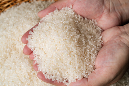 出雲神在の米 玄米